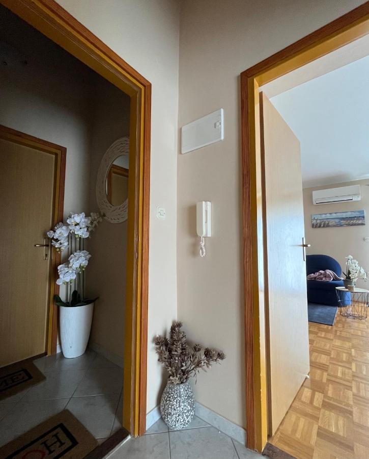 Apartments Tino & Leon Sukošan エクステリア 写真